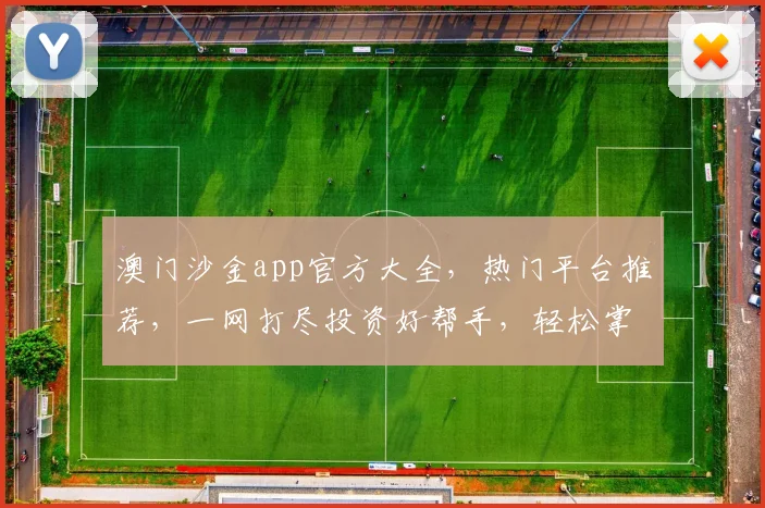澳门沙金app官方大全，热门平台推荐，一网打尽投资好帮手，轻松掌握